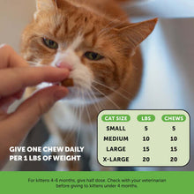 Load image into Gallery viewer, Orange cat receiving a chew with dosage guidelines for Pet Honesty Hairball Support.