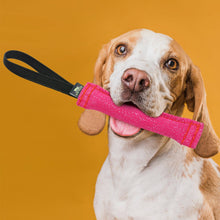 Load image into Gallery viewer, Viper French Linen Tug Dog Toy held by a happy dog, showcasing its durable construction for interactive play.