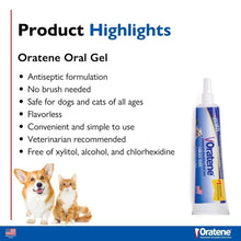Load image into Gallery viewer, Oratene Oral Gel highlights: antiseptic, no brush, safe for pets, flavorless, simple use, vet recommended, alcohol-free.