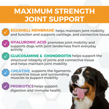 Load image into Gallery viewer, Maximum strength joint support infographic for dogs with key ingredients and benefits listed.