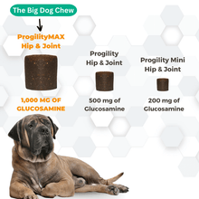 Load image into Gallery viewer, Progility Max Hip & Joint soft chew with glucosamine, ideal for large dogs' joint health and support.