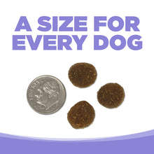 Load image into Gallery viewer, NutriSource Upland Stream Recipe dog food bites next to a quarter, showcasing a size for every dog.