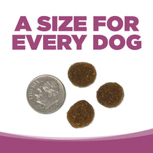 Load image into Gallery viewer, NutriSource dog food nuggets beside a quarter, highlighting the perfect size for every dog.