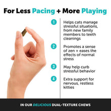 Load image into Gallery viewer, Hand holding Pet Honesty dual-textured chews for calming cats, promoting relaxation and stress management.