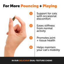 Load image into Gallery viewer, Hand holding a chew promoting cat mobility and joint health with benefits listed beside it.