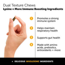 Load image into Gallery viewer, Hand holding dual texture chew with bullet points on immune support benefits for cats.