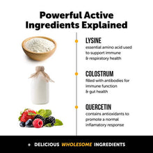 Load image into Gallery viewer, Infographic explaining Lysine, Colostrum, and Quercetin for cat immune support.