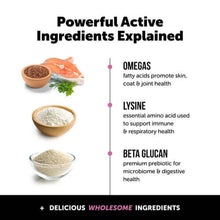 Load image into Gallery viewer, Image explaining key ingredients in Pet Honesty Cat Daily Vitamin: Omegas, Lysine, and Beta Glucan for cat health.