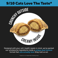 Load image into Gallery viewer, Pet Honesty Cat Skin & Coat supplement showing crunchy outer shell and creamy inside, favored by 9/10 cats.