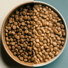 Load image into Gallery viewer, Bowl of dog food showing dry kibble on one side and moist, gravy-coated kibble on the other side.