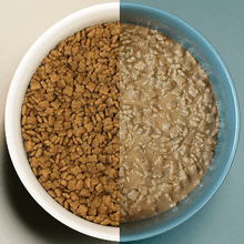 Load image into Gallery viewer, Bowl of Petcurean NOW! Fresh Good Gravy dog food, showing dry kibble and gravy texture after adding water.