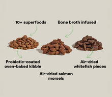 Load image into Gallery viewer, Open Farm Epic Salmon dog food featuring superfoods, probiotic kibble, salmon morsels, and whitefish pieces.