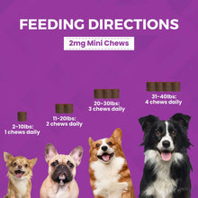 Load image into Gallery viewer, Feeding directions for Progility Calming Aid: chews based on dog weight, including 2mg mini chews for different sizes.