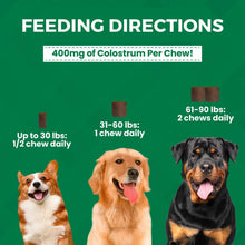 Load image into Gallery viewer, Feeding directions for Progility Allergy Relief Soft Chews with dosage by dog weight on a green background.