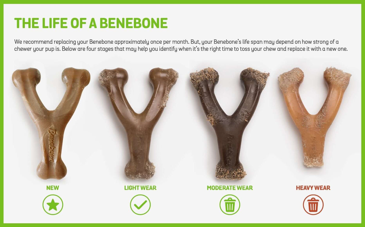 Benebone sale outlet