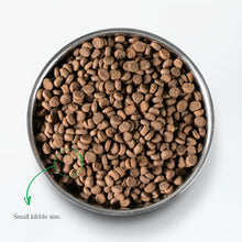 Load image into Gallery viewer, Bowl filled with small kibble of Open Farm Pasture-Raised Lamb for Cats. Ideal for picky eaters.