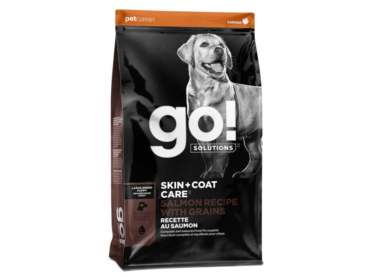 Go Solutions Skin Coat with Grains Adult Large Breed Recipe Dry Dog Food 12 lb Bag