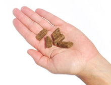 Load image into Gallery viewer, Bite-sized Plato Duck Small Bites treats in a hand, perfect for training small dogs and promoting healthy digestion.