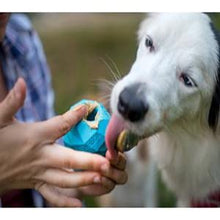 Load image into Gallery viewer, Dog enjoying the Ruffwear Gnawt-a-Cone toy, engaging with its faceted surface outdoors.