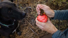 Load image into Gallery viewer, Person holding a Ruffwear Gnawt-a-Cone dog toy, while a black dog eagerly watches in a natural setting.