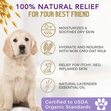 Load image into Gallery viewer, 4-Legger Organic Oatmeal Dog Shampoo with Lavender and Aloe