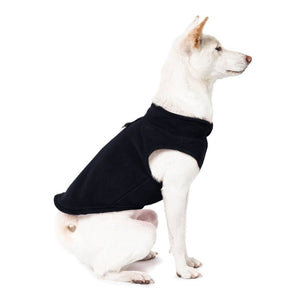Dog wearing a Fleece Vest in black, designed for comfort and warmth during outdoor walks.