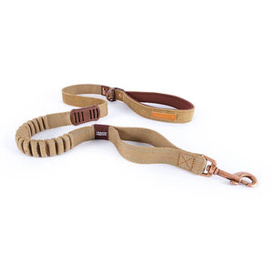 Ezydog Zero Shock Leash