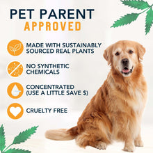 Load image into Gallery viewer, 4-Legger REVITALIZE Organic Neem Dog Shampoo and Orange Essential Oil