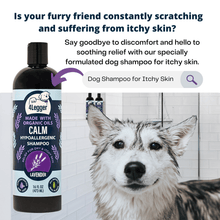 Load image into Gallery viewer, 4-Legger CALM Organic Lavender Natural Dog Shampoo with Calendula