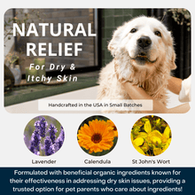 Load image into Gallery viewer, 4-Legger CALM Organic Lavender Natural Dog Shampoo with Calendula