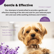 Load image into Gallery viewer, 4-Legger CALM Organic Lavender Natural Dog Shampoo with Calendula