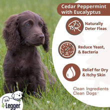 Load image into Gallery viewer, 4-Legger Natural Cedar Dog Shampoo and Conditioner with Peppermint &amp; Eucalyptus