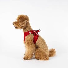 Load image into Gallery viewer, Ezydog FormFit Harness (Black) shown on a small dog in profile view, showcasing adjustable and breathable design.