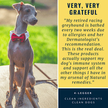 Load image into Gallery viewer, 4-Legger MOISTURIZE Organic Hemp Dog Shampoo with Lemongrass