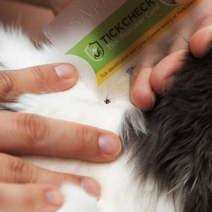 TickCheck Tick Remover Card - 12pc Hang Strip Display