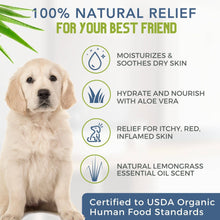 Load image into Gallery viewer, 4-Legger Lemongrass and Aloe Organic Hypoallergenic Dog Shampoo