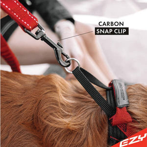 Ezydog Zero Shock Leash