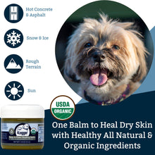Load image into Gallery viewer, 4-Legger USDA Certified Organic Healing Balm for Dog Nose and Paw Pads