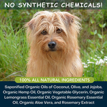 Load image into Gallery viewer, 4-Legger MOISTURIZE Organic Hemp Dog Shampoo with Lemongrass