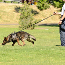 Load image into Gallery viewer, Viper Biothane 20 ft Dog Leash - Long Line Lead in use with a German Shepherd in a park.