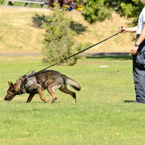 Viper Biothane 20 ft Dog Leash - Long Line Lead in use with a German Shepherd in a park.