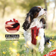 Load image into Gallery viewer, Ezydog Chest Plate Harness
