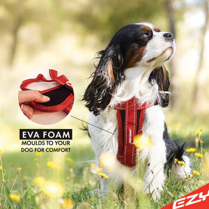 Ezydog Chest Plate Harness