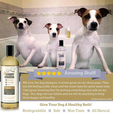 Load image into Gallery viewer, 4-Legger Organic Oatmeal Dog Shampoo with Lavender and Aloe