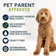 Load image into Gallery viewer, 4-Legger MOISTURIZE Organic Hemp Dog Shampoo with Lemongrass