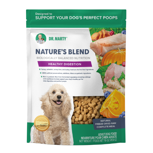 Dr. Marty Nature's Blend Healthy Digestion