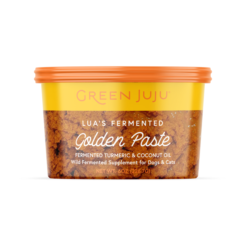 Green Juju Lua's Golden Paste Fermented Turmeric & Coconut Oil, Wild Fermented Supplement for Dogs & Cats in 6oz Container