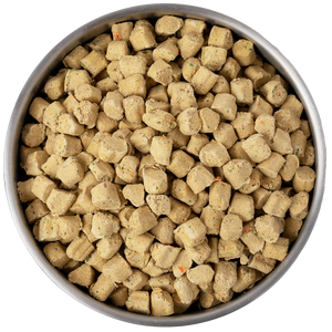 Bowl of Kibble in the Raw Chicken Recipe dog food, featuring freeze-dried bite-sized kibble.
