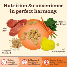 Load image into Gallery viewer, Raw beef, air-dried produce, steamed sorghum, and cold-pressed oil showcasing nutritious dog food ingredients.
