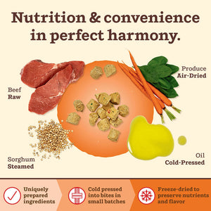 Raw beef, air-dried produce, steamed sorghum, and cold-pressed oil showcasing nutritious dog food ingredients.